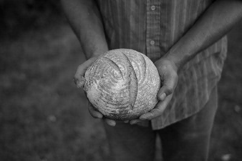 Photo by Patrick Patterson.