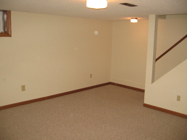 Finished Basement.JPG