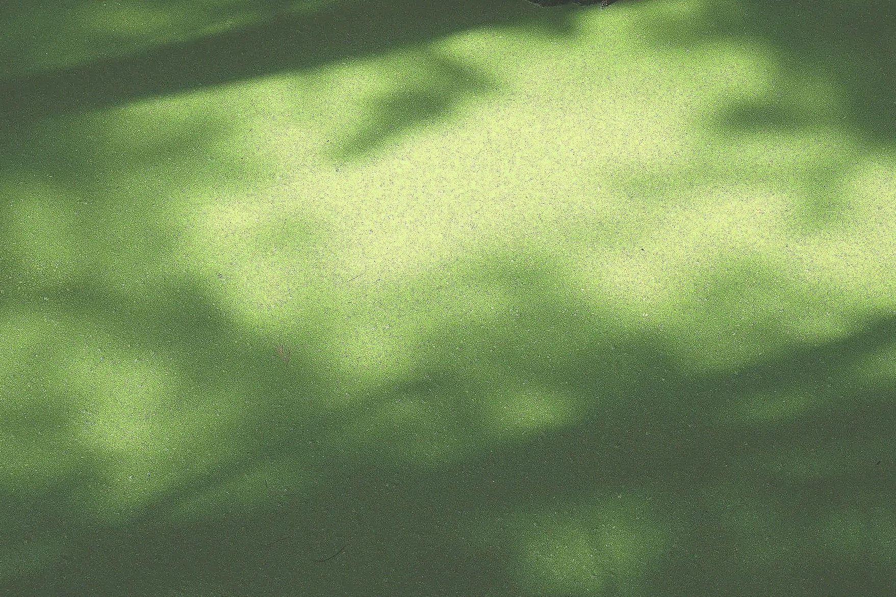 vista-pan-nbbmQmQEO2I-unsplash (1).jpg