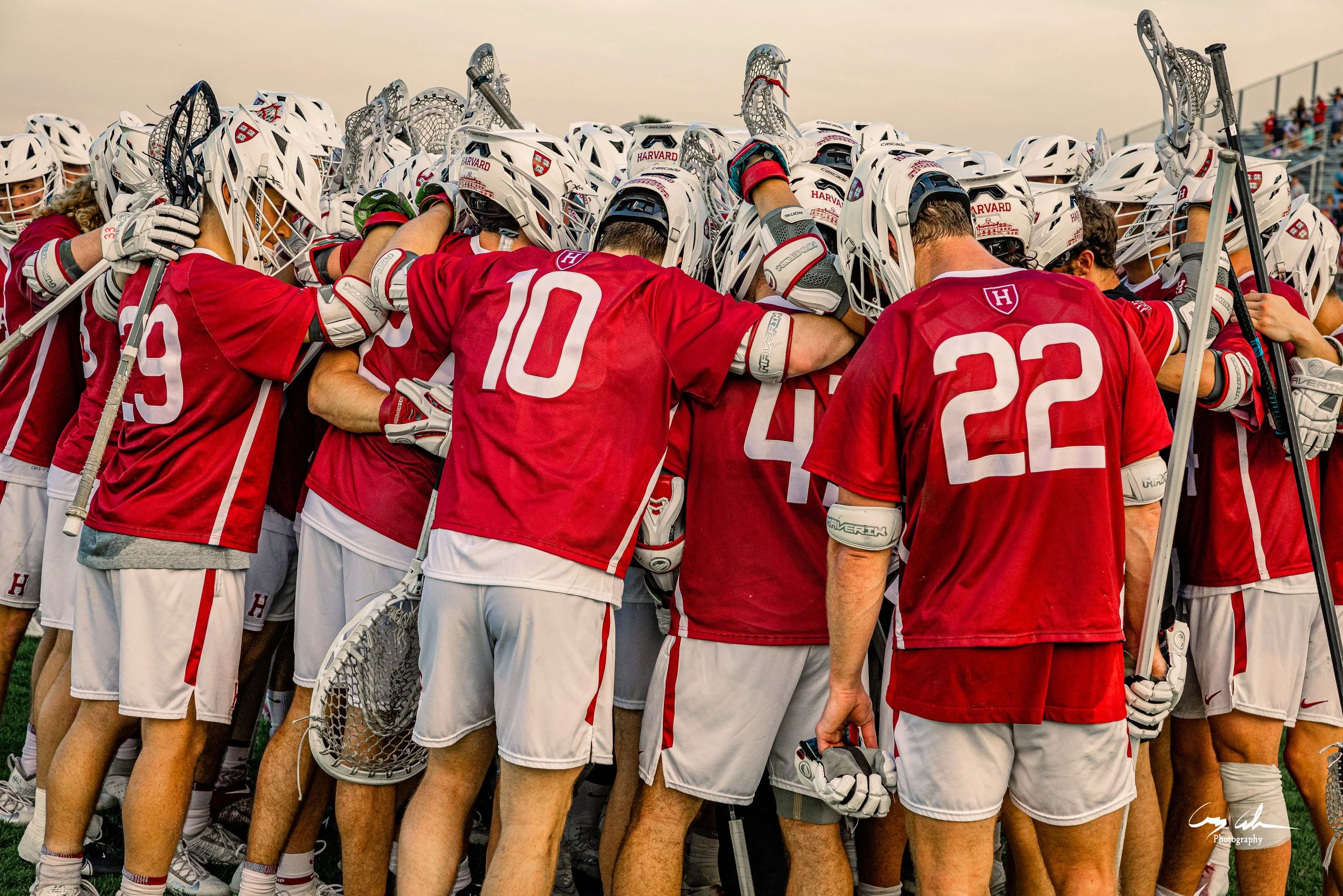 Harvard Sports Teams