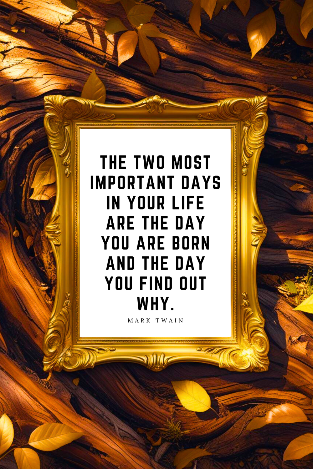 THE TWO MOST IMPORTANT DAYS • 8x10 • Downloadable Motivational Quote Poster • Feel Good Wall Decor.png