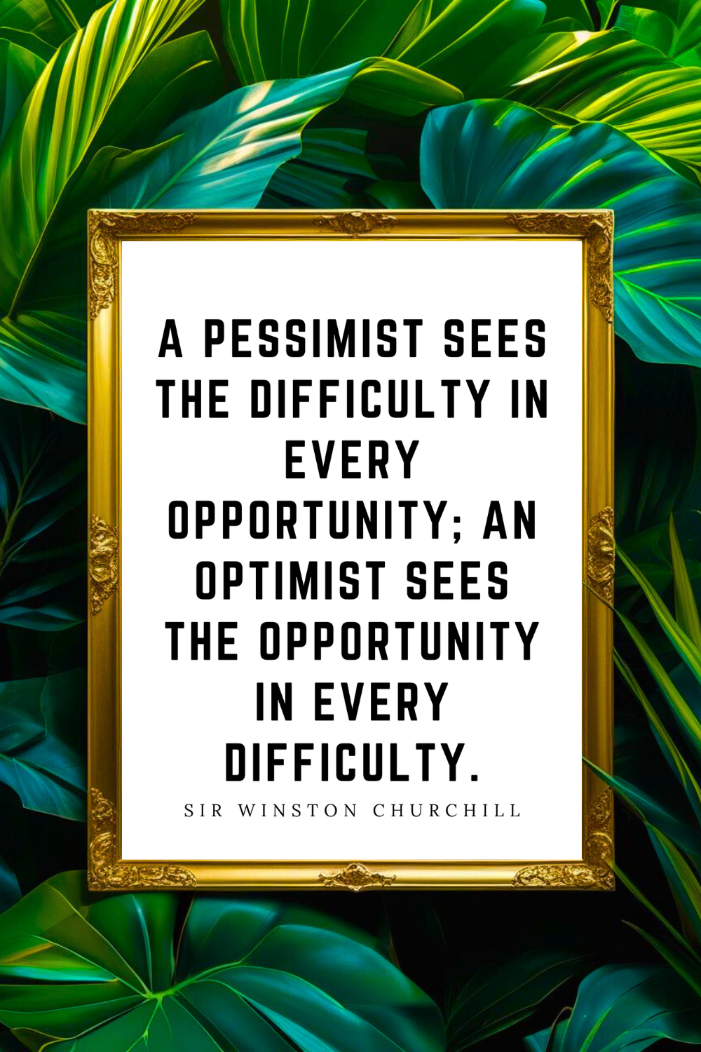 AN OPTIMIST SEES THE OPPORTUNITY • 8x10 • Feel Good Inspirational Black and White Quote Printable File.png
