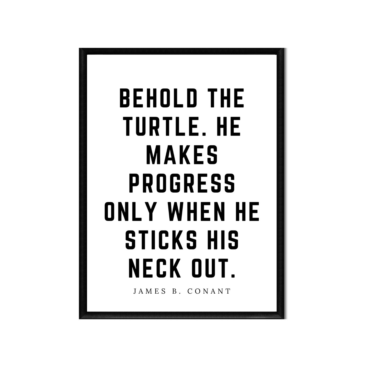 BEHOLD THE TURTLE • Printable Quote Downloadable File .png