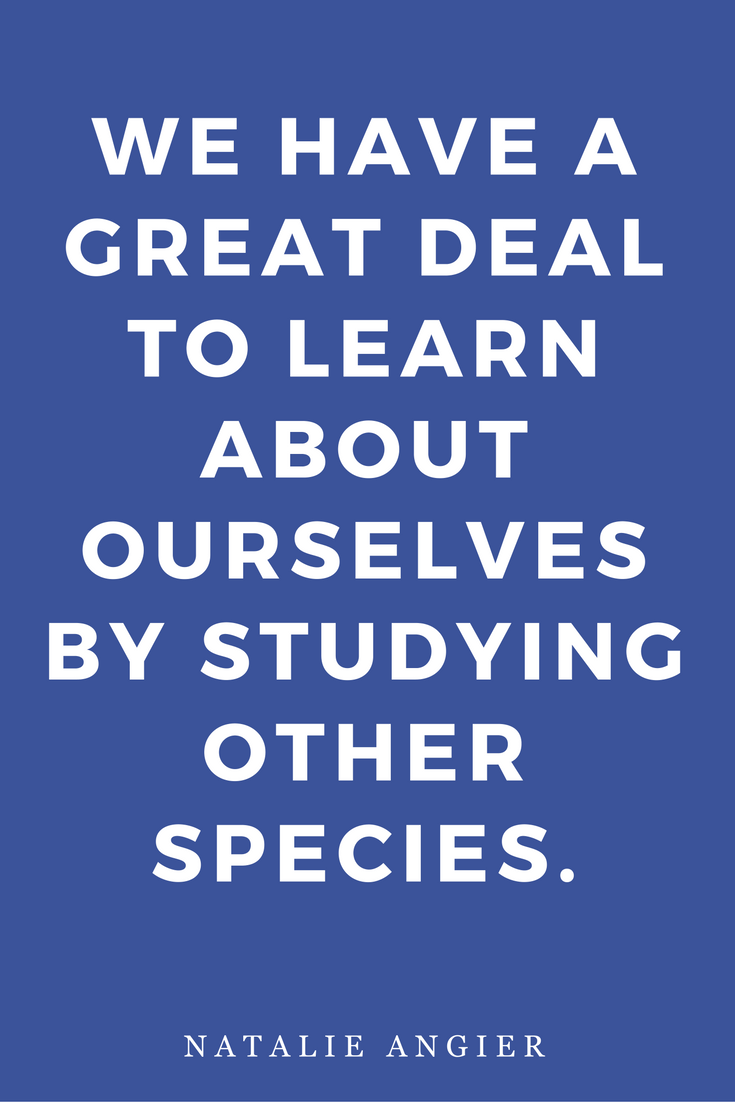 Woman by Natalie Angier Books, Quotes, Inspiration