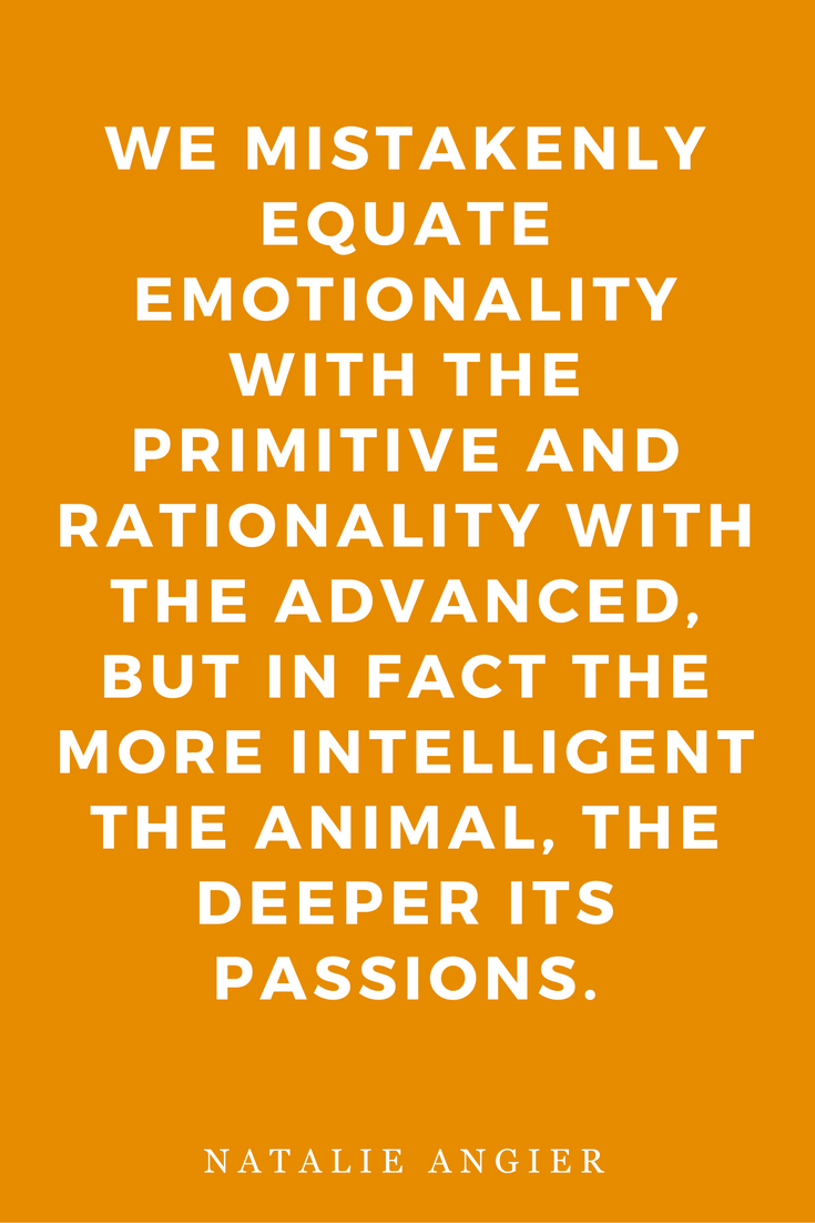 Woman by Natalie Angier Books, Quotes, Inspiration History