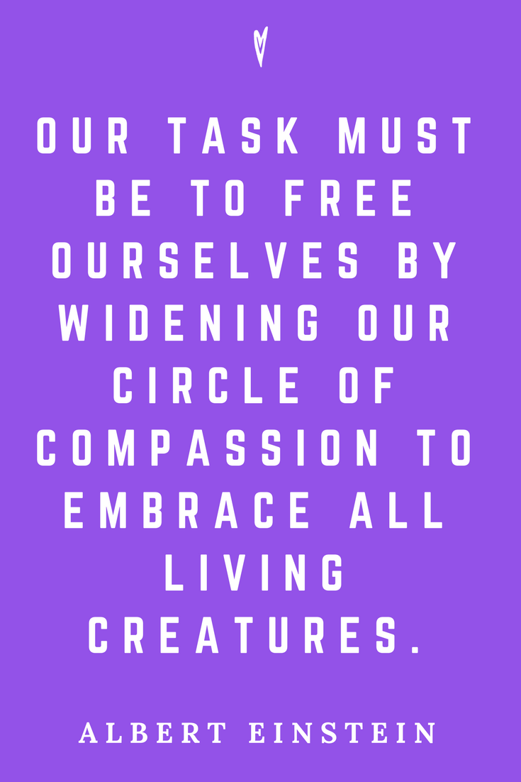 Albert Einstein • Top 35 Quotes • Peace to the People • Science • Physics • Motivation • Wisdom • Inspiration • Compassion.png