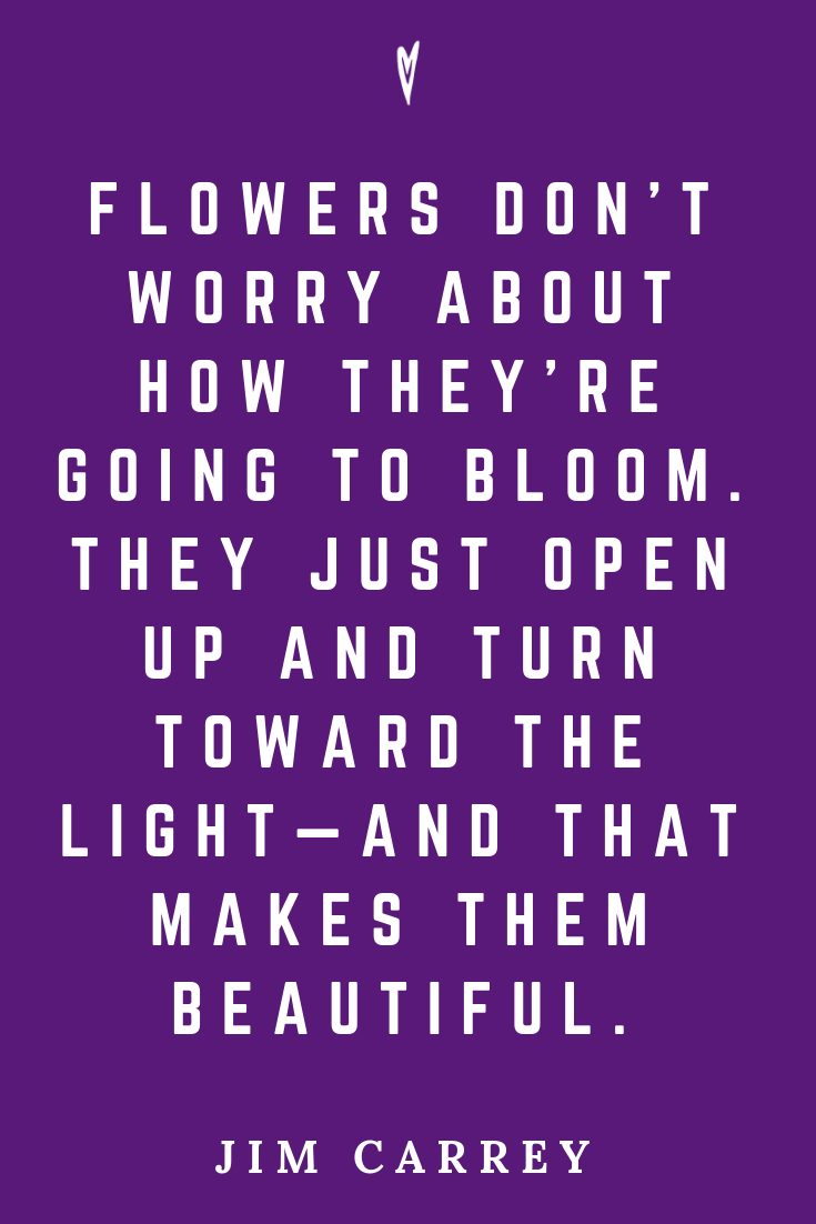 Top 25 Jim Carrey Quotes • Peace to the People • Pinterest • Mindfulness, Motivation, Wisdom • Beautiful Flowers.png