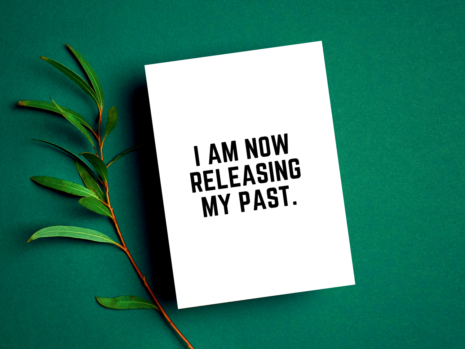 I Attract Great People And Opportunities Into My Life Peace To The