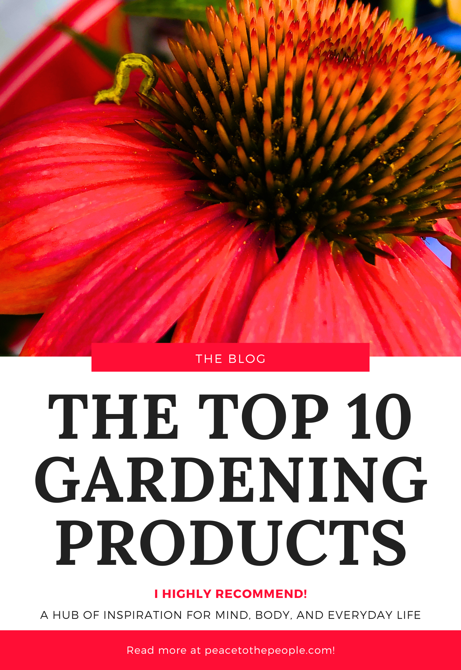 Peace to the People Blog • The Top 10 Gardening Products I Highly Recommend.png