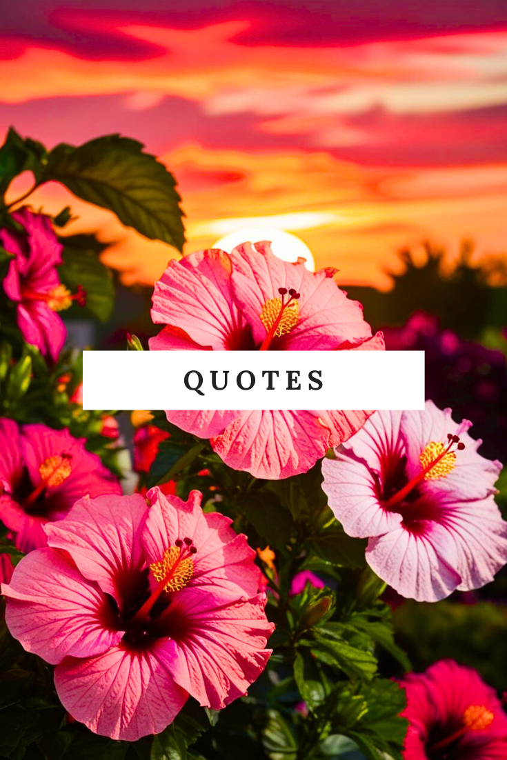 Peace to the People • Motivation •  Inspirational Quotes.png