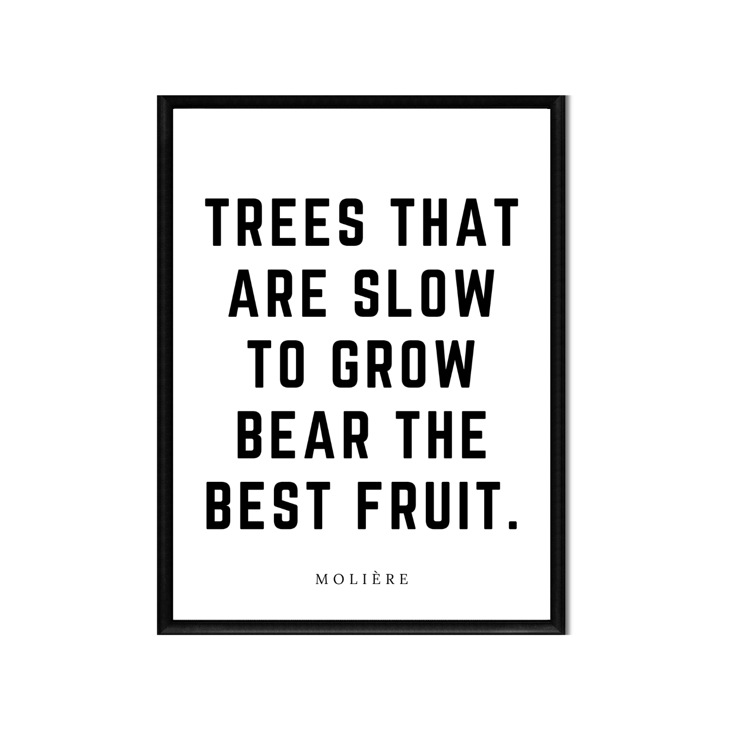 BEAR THE BEST FRUIT • Printable Quote Downloadable File .png