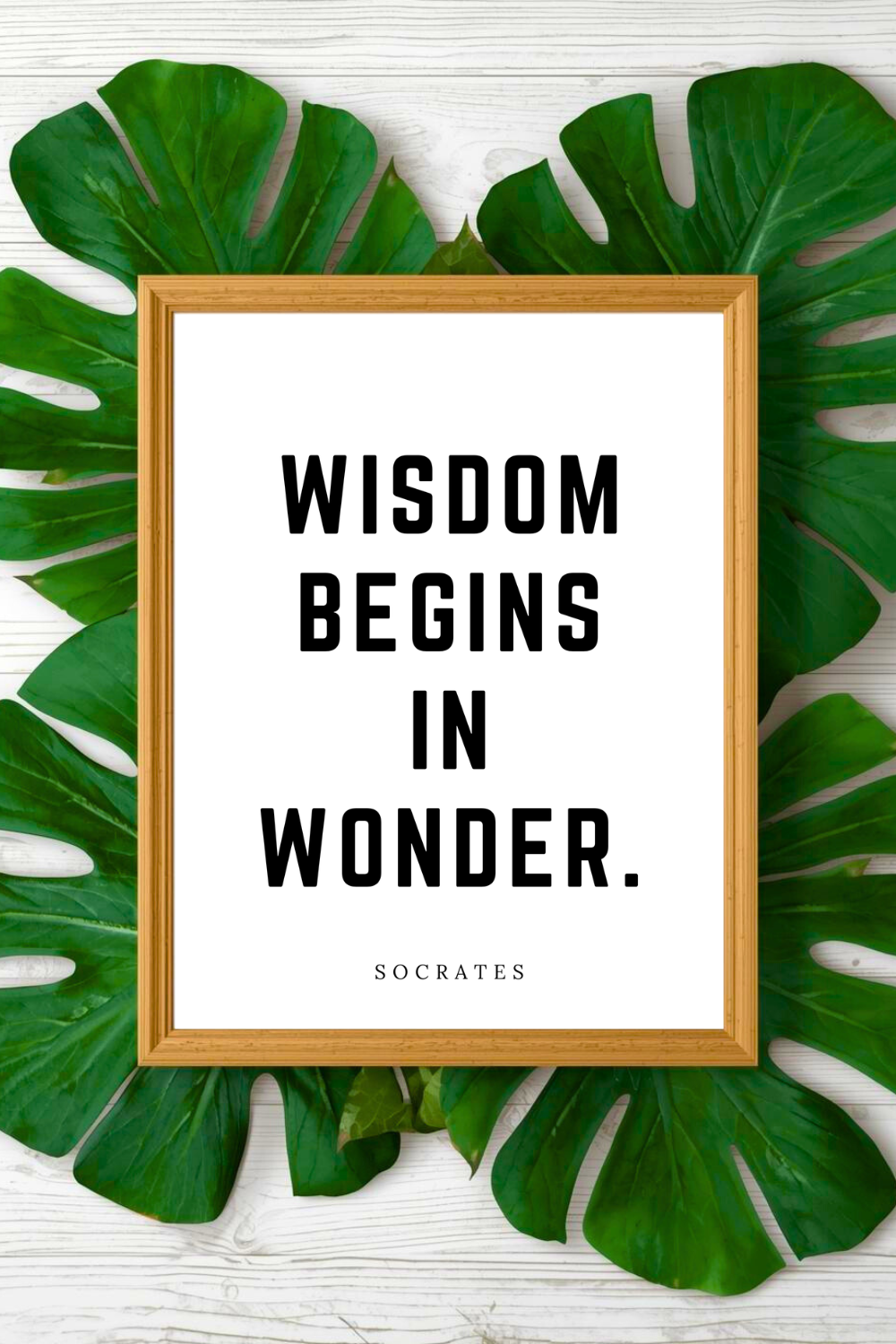 WISDOM BEGINS IN WONDER • 8 x 10 • Black and White Quote • Print File for Gifts Holidays.png