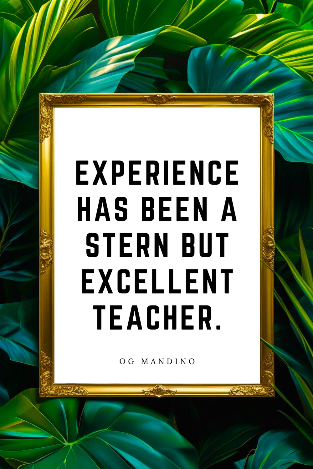 A STERN BUT EXCELLENT TEACHER • 8 x 10 • Feel Good Inspirational Black and White Quote Printable File.png