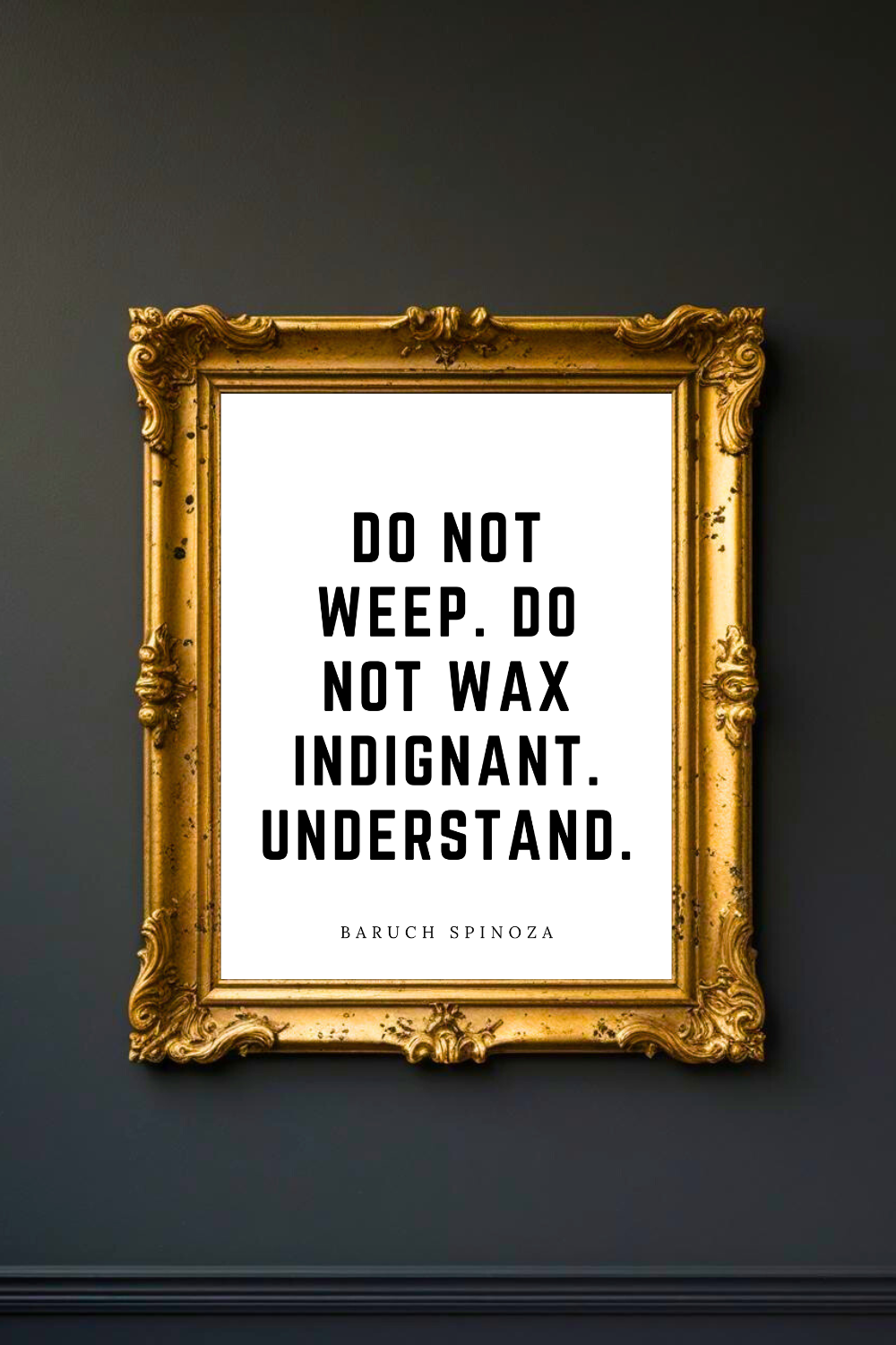 Do Not Wax Indignant • Top Baruch Spinoza Quotes • 8x10 • Uplifting Quotes to Print Instant Download Wall Art.png
