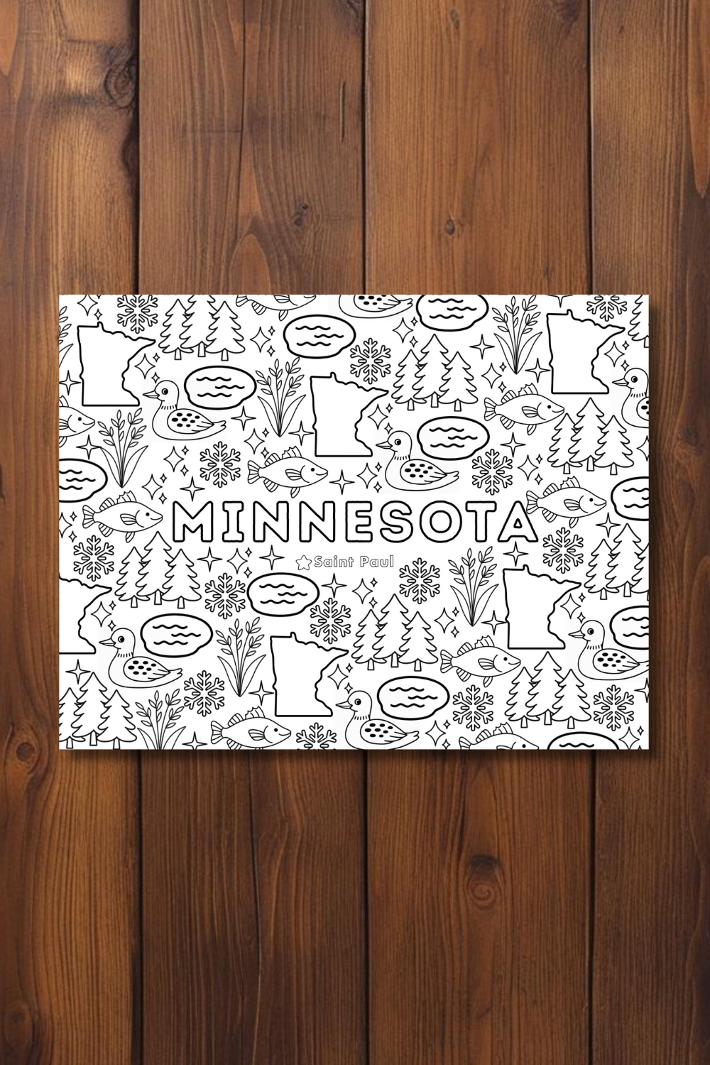 Minnesota • United States Coloring Page • Educational Printable Instant Download Sheet for Kids and Toddlers