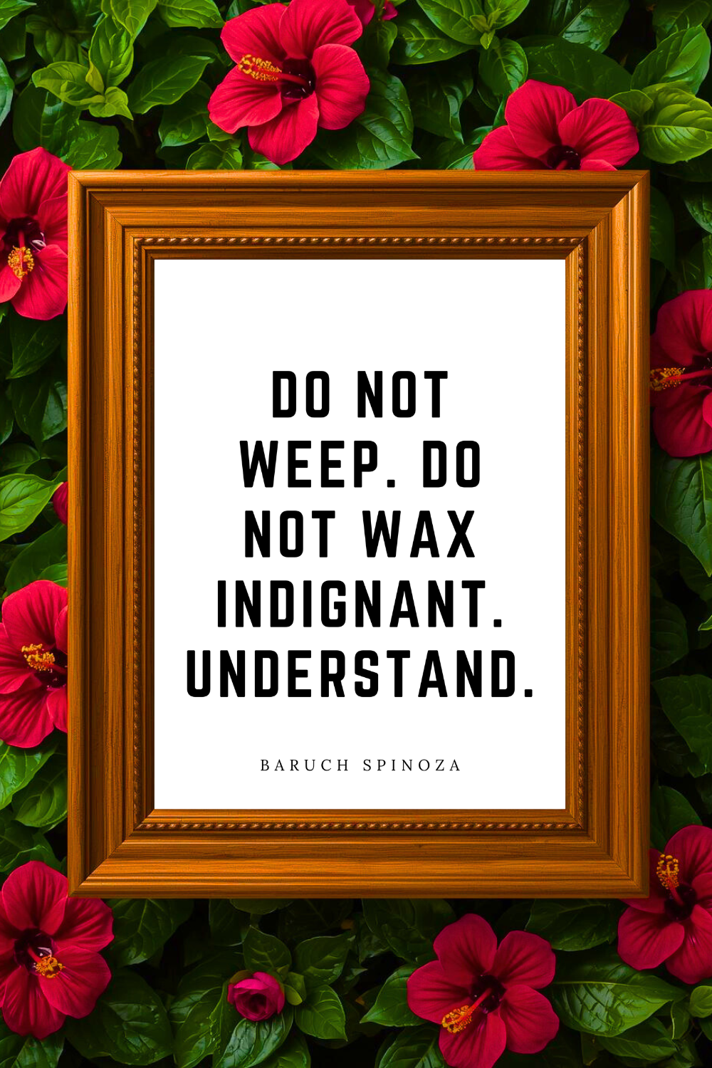 Do Not Wax Indignant • Top Baruch Spinoza Quotes • Printable Positive Affirmation • Printable Positive Affirmation • Modern Farmhouse Decor • Wall Art Quote • Black and White • Printable PDF.png