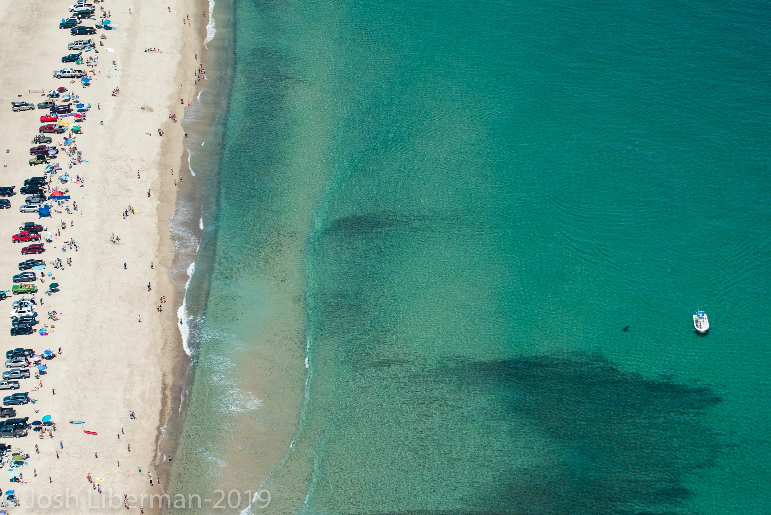 A white sharks cruises along Nauset Beach while thousands of beachgoers enjoy a warm summer day on Cape Cod.