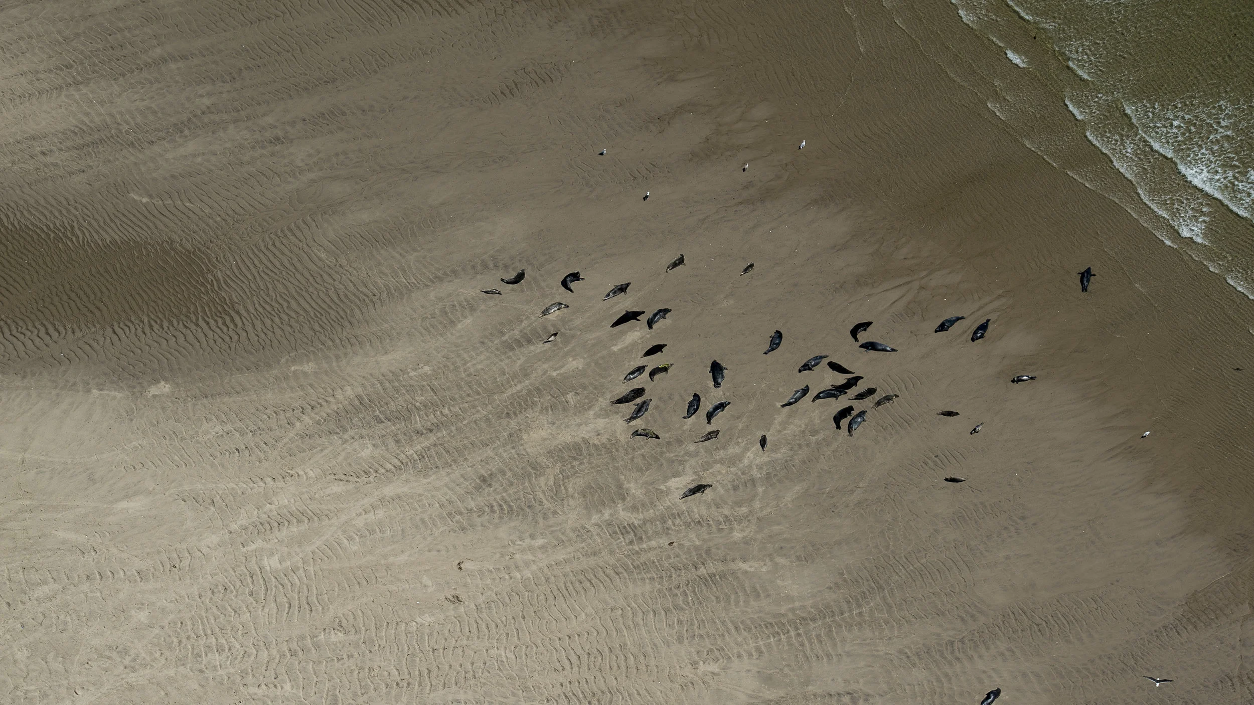 JL_00143.jpg