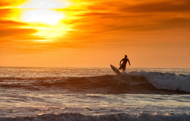 Sunset-surfer.png