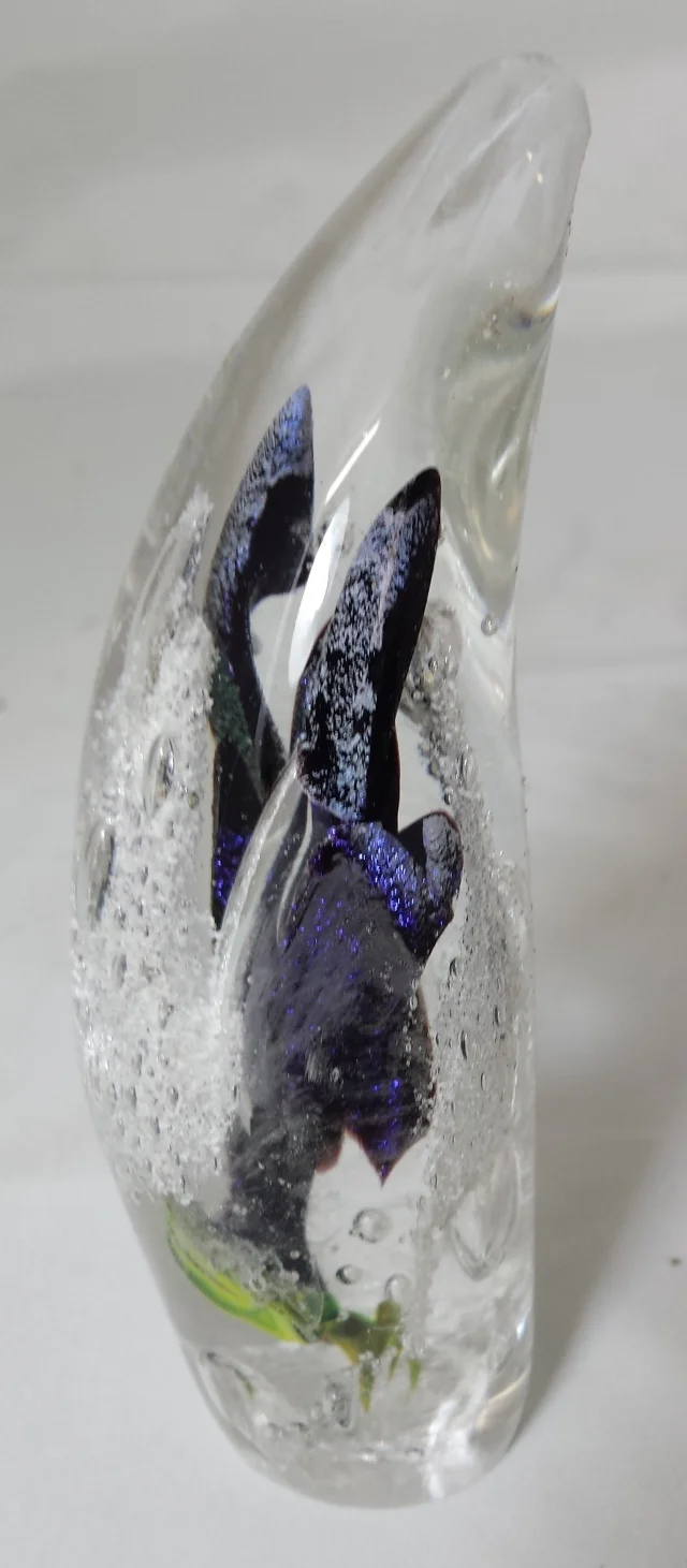 20171201_004915 cropped res.jpg