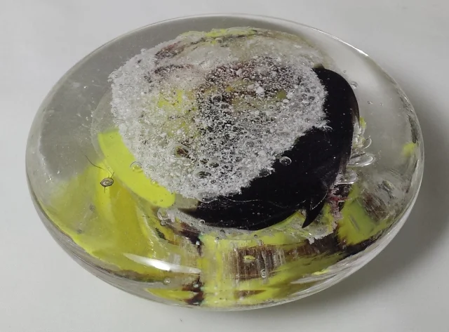 20171201_004352 cropped res.jpg