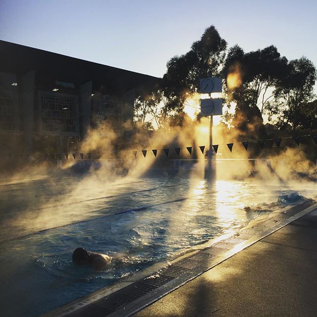 We love our outdoor pool training at Tateswim, especially mornings like this!