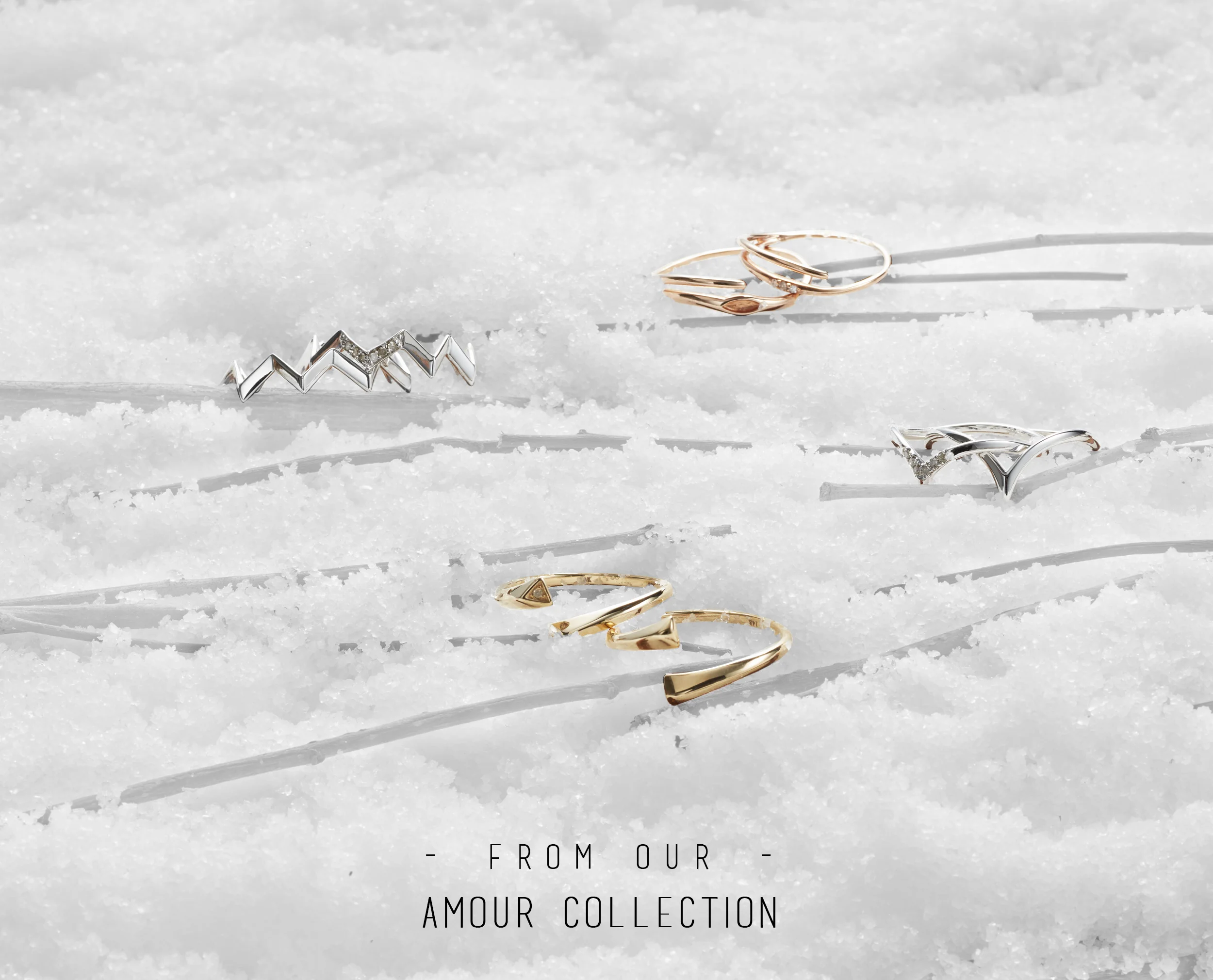 LV collection pic 2019.jpg