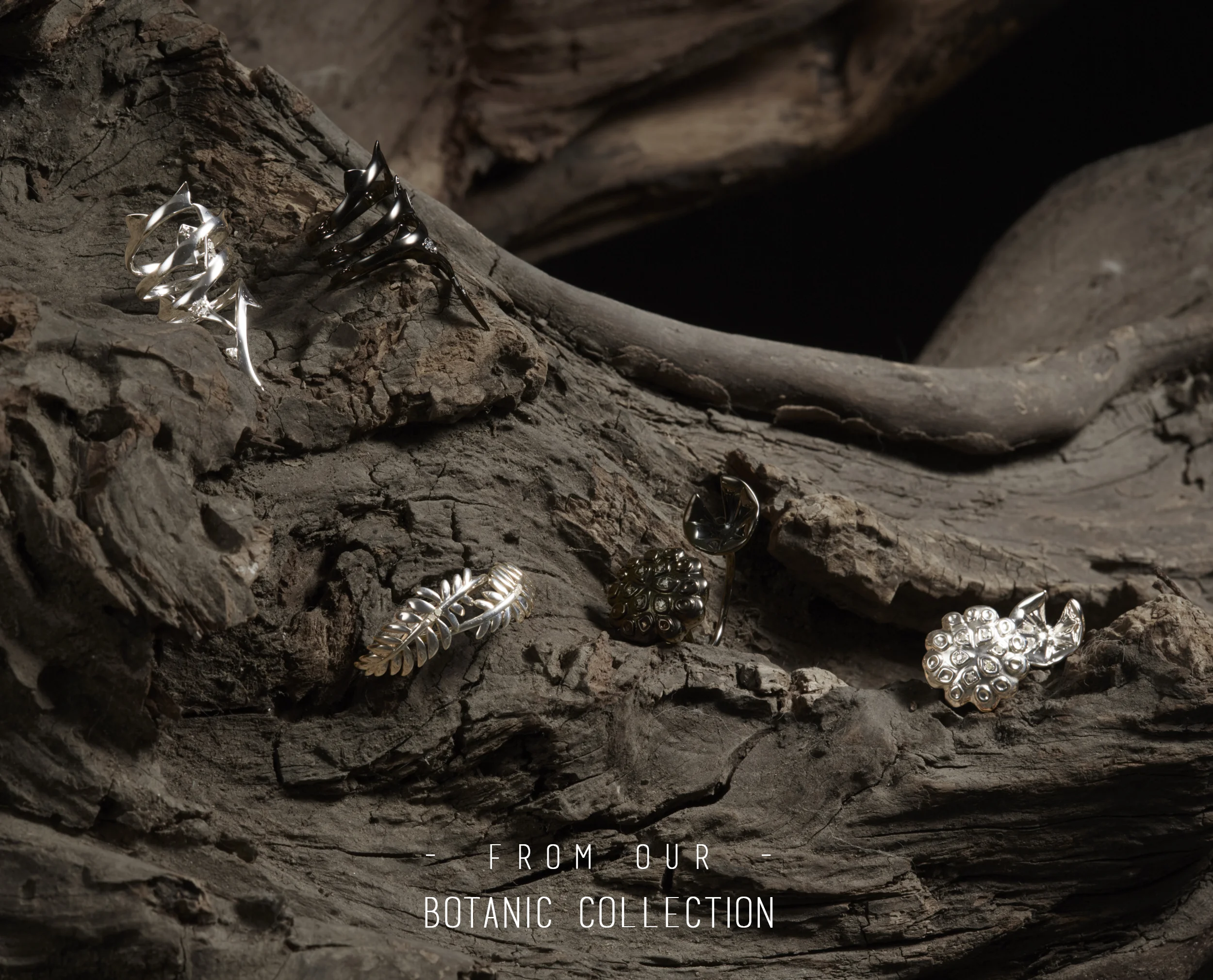 BO collection pic 2019.jpg