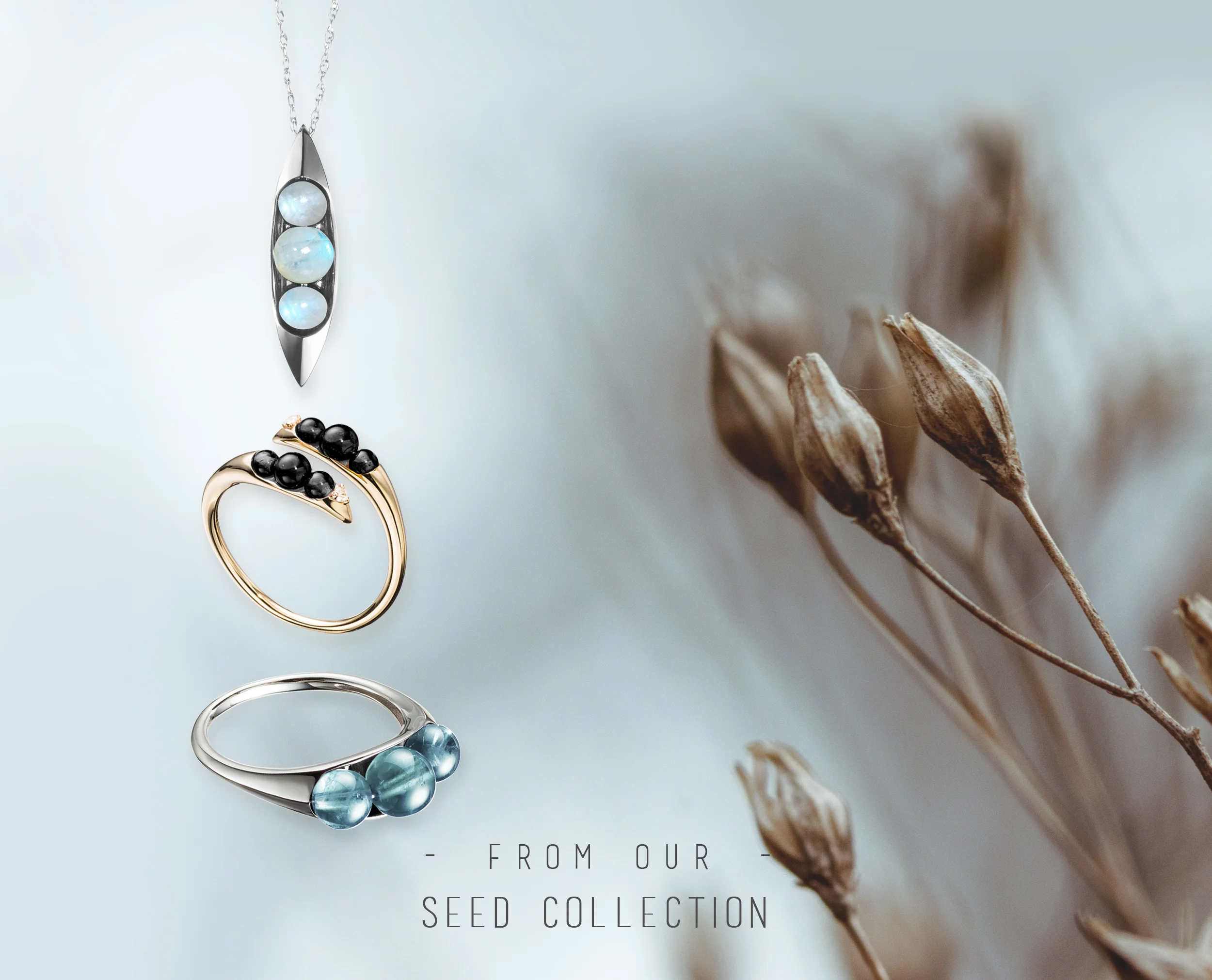 SD collection pic 2 2019.jpg