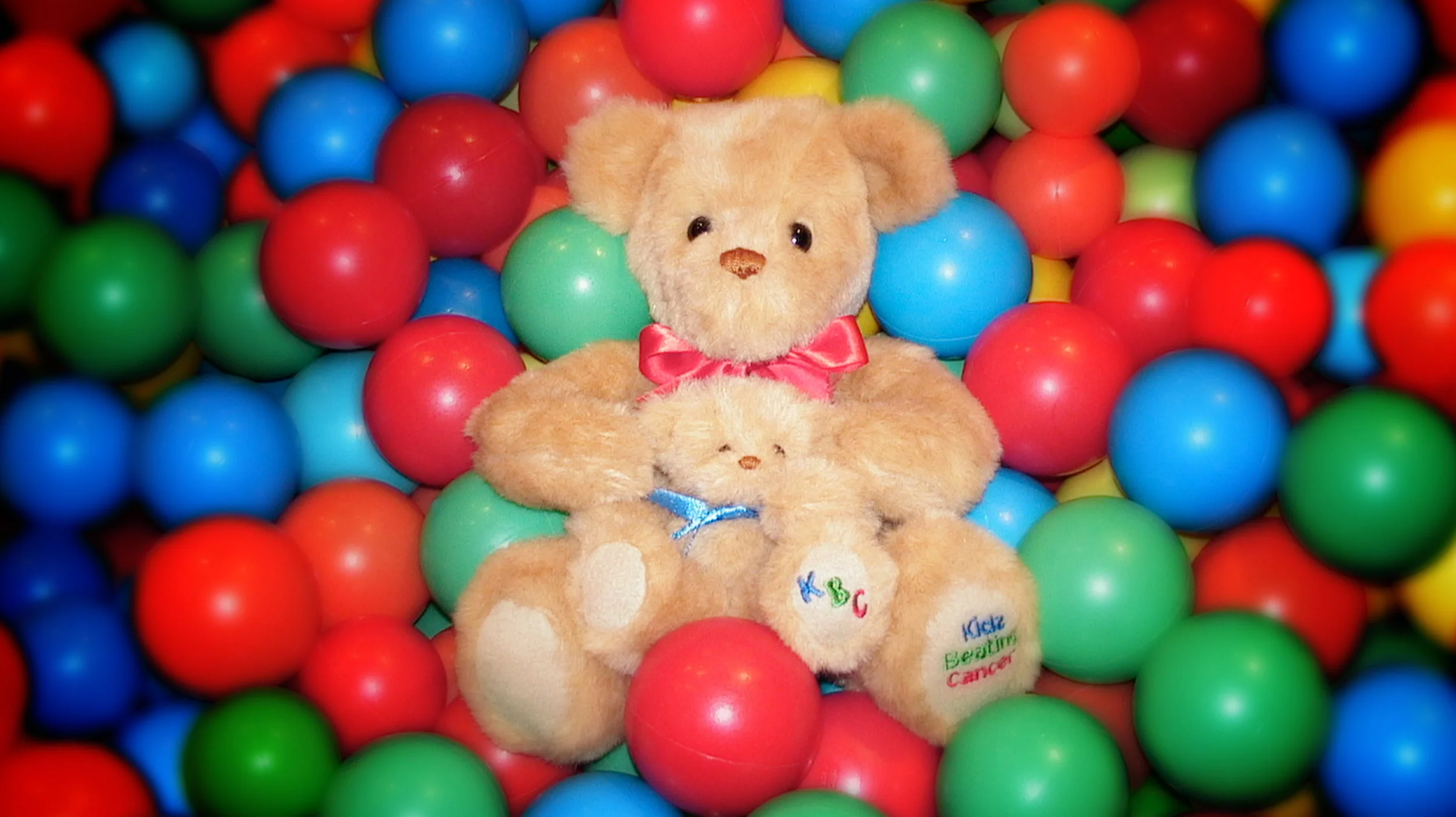 bunkyBear_Hero.jpg