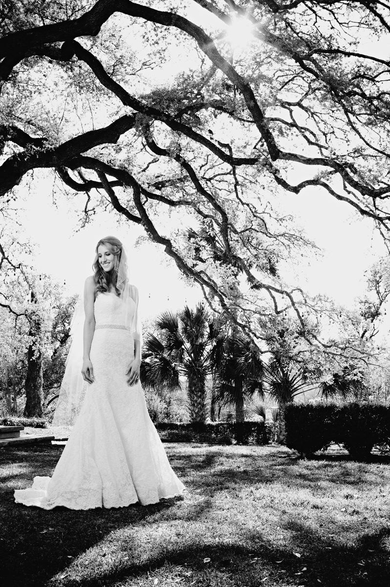 romantic austin bridal portrait