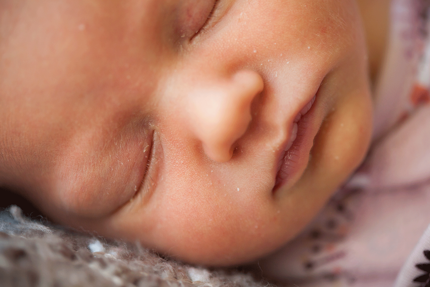 austin newborn portrait