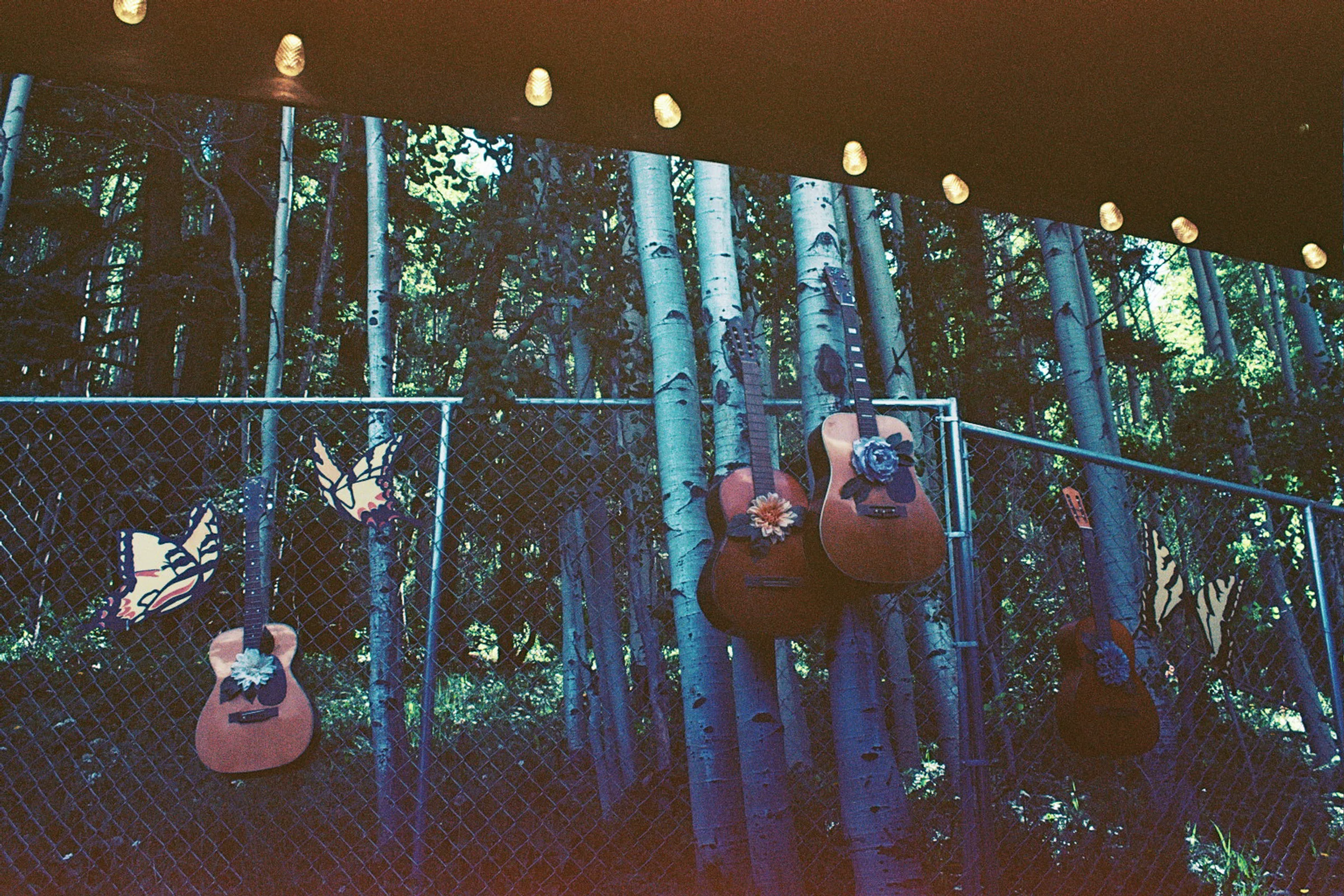 __3_0838.jpg