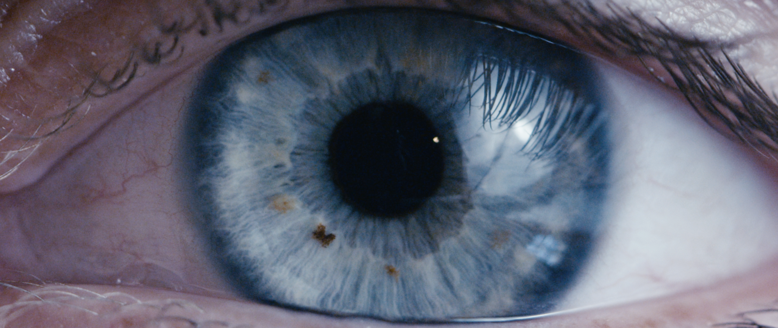 REEL // 2018