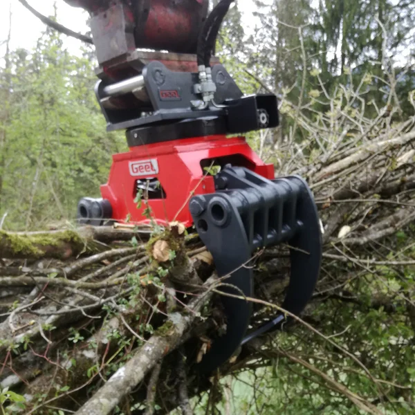 Holzgreifer — Geel