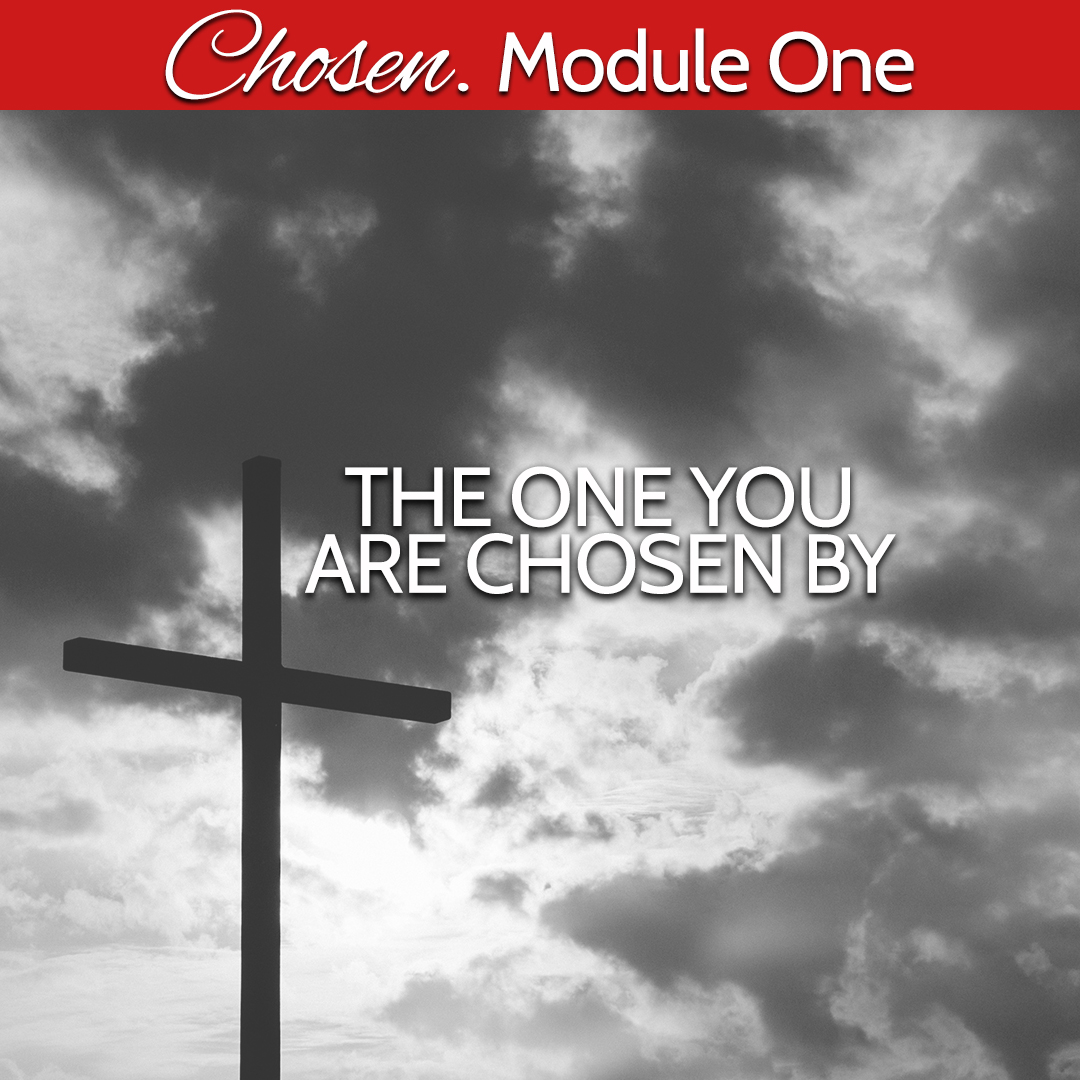 BW Module One The One you are Chosen by.jpg