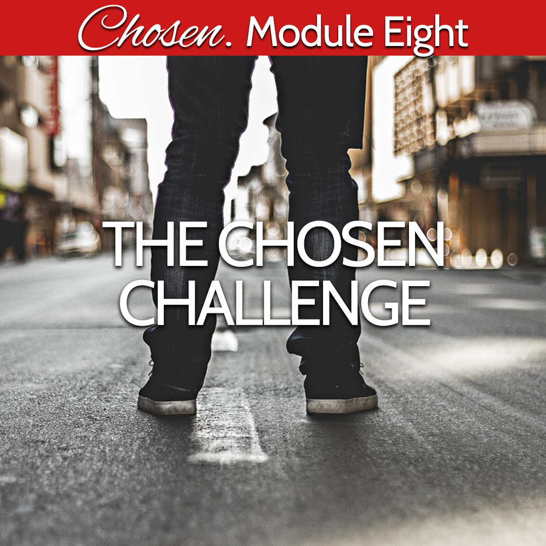 Module Eight the chosen challenge.jpg