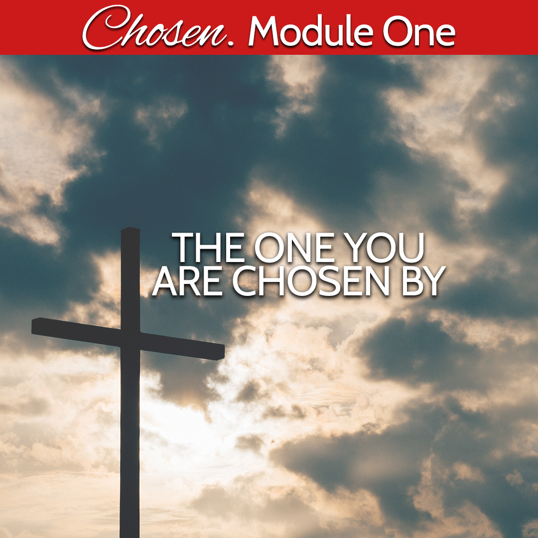 Module One The One you are Chosen by.jpg
