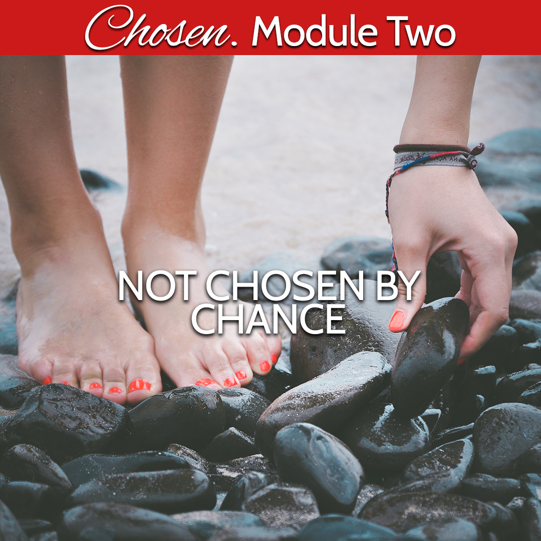 Module Two Not chosen by chance.jpg