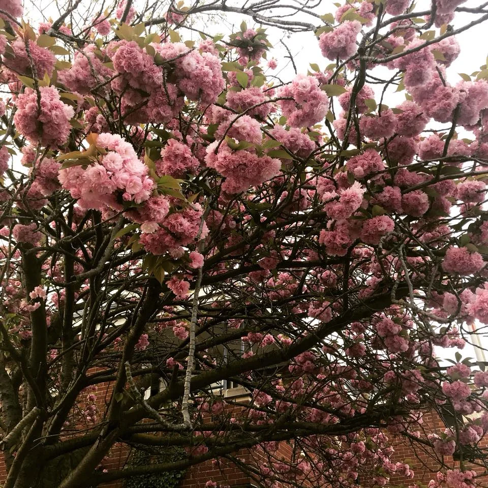 The seasons which shape us...