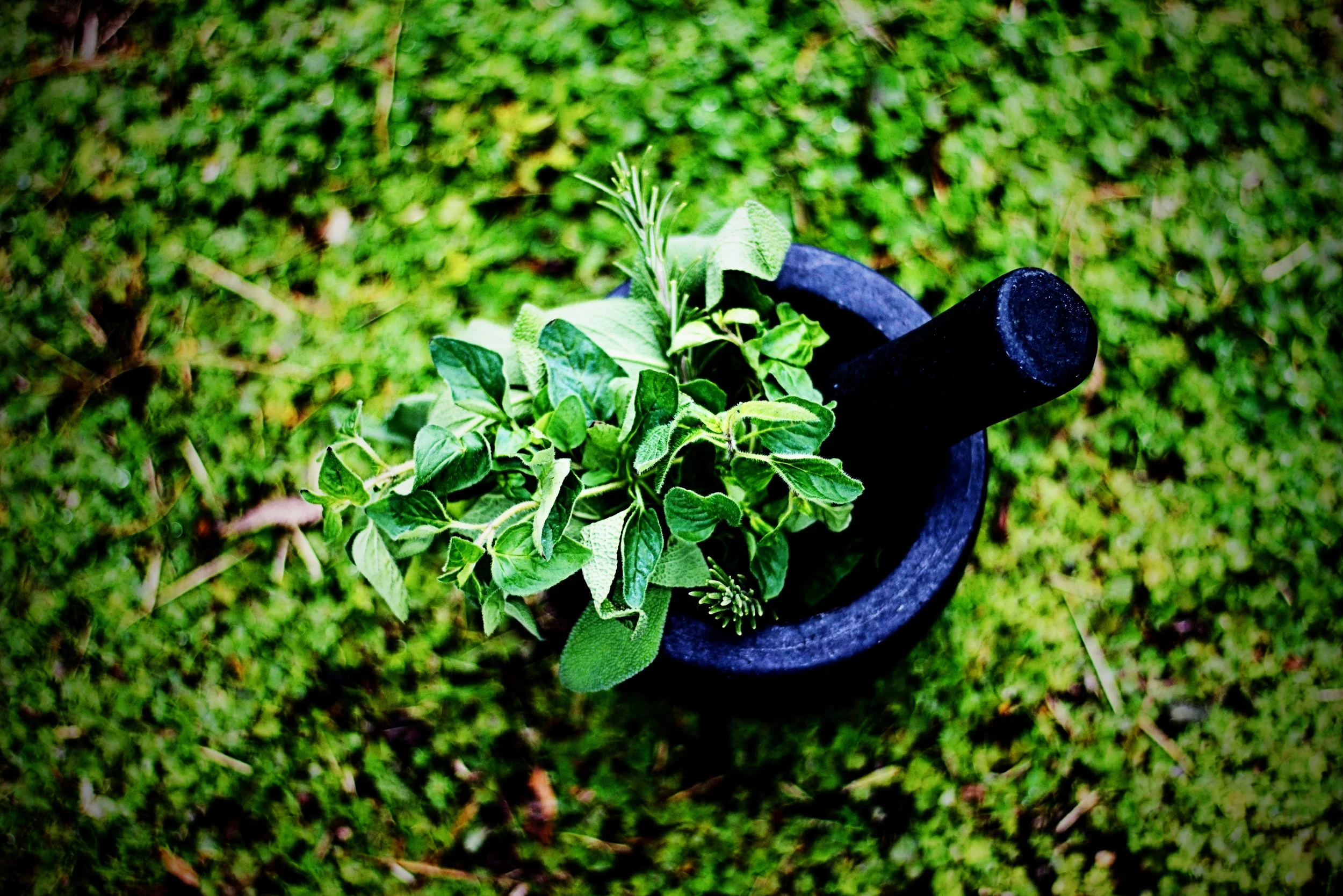 TREATMENTS & SERVICES