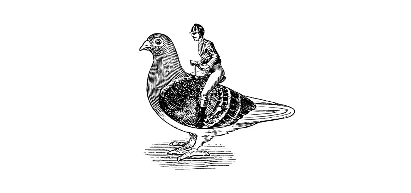 piceon-icon.jpg