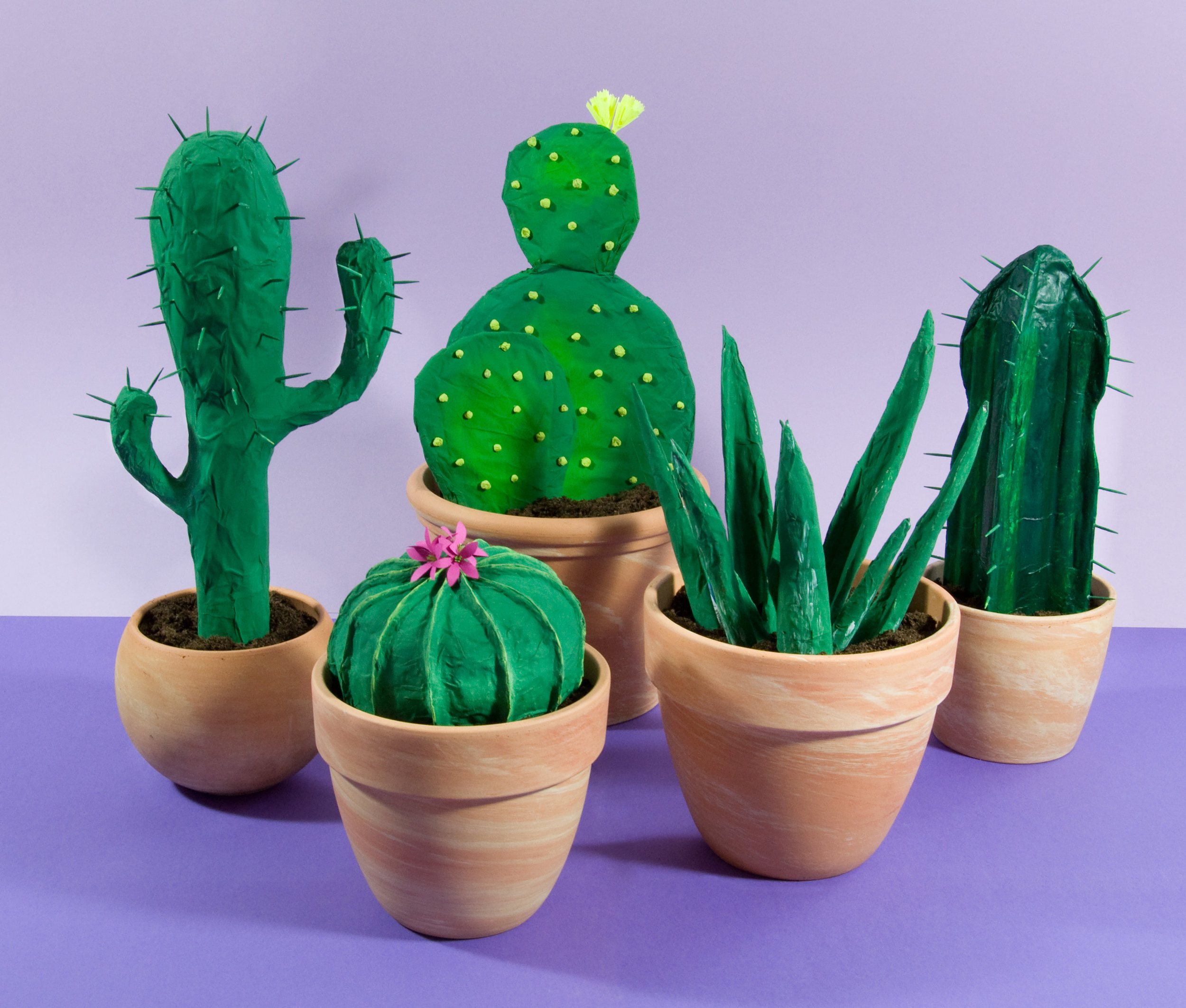 wildernis Regenboog baseren Cacti — WRK / Tactile Illustrations & Paper Art