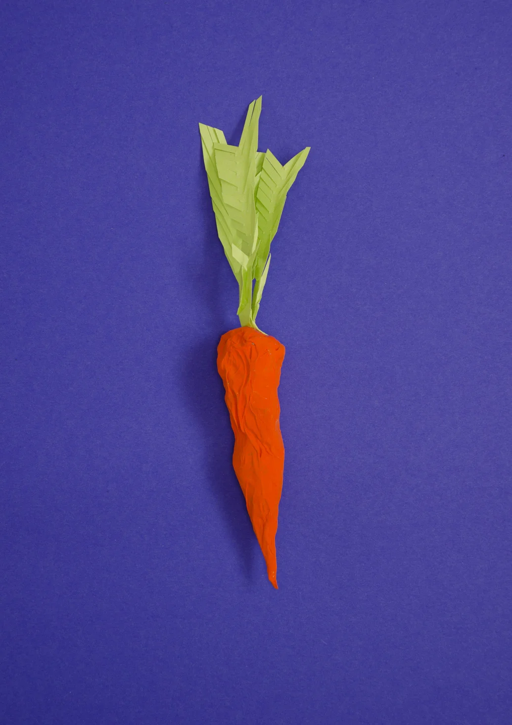 Geo kompakt Magazine - Vegetarianism