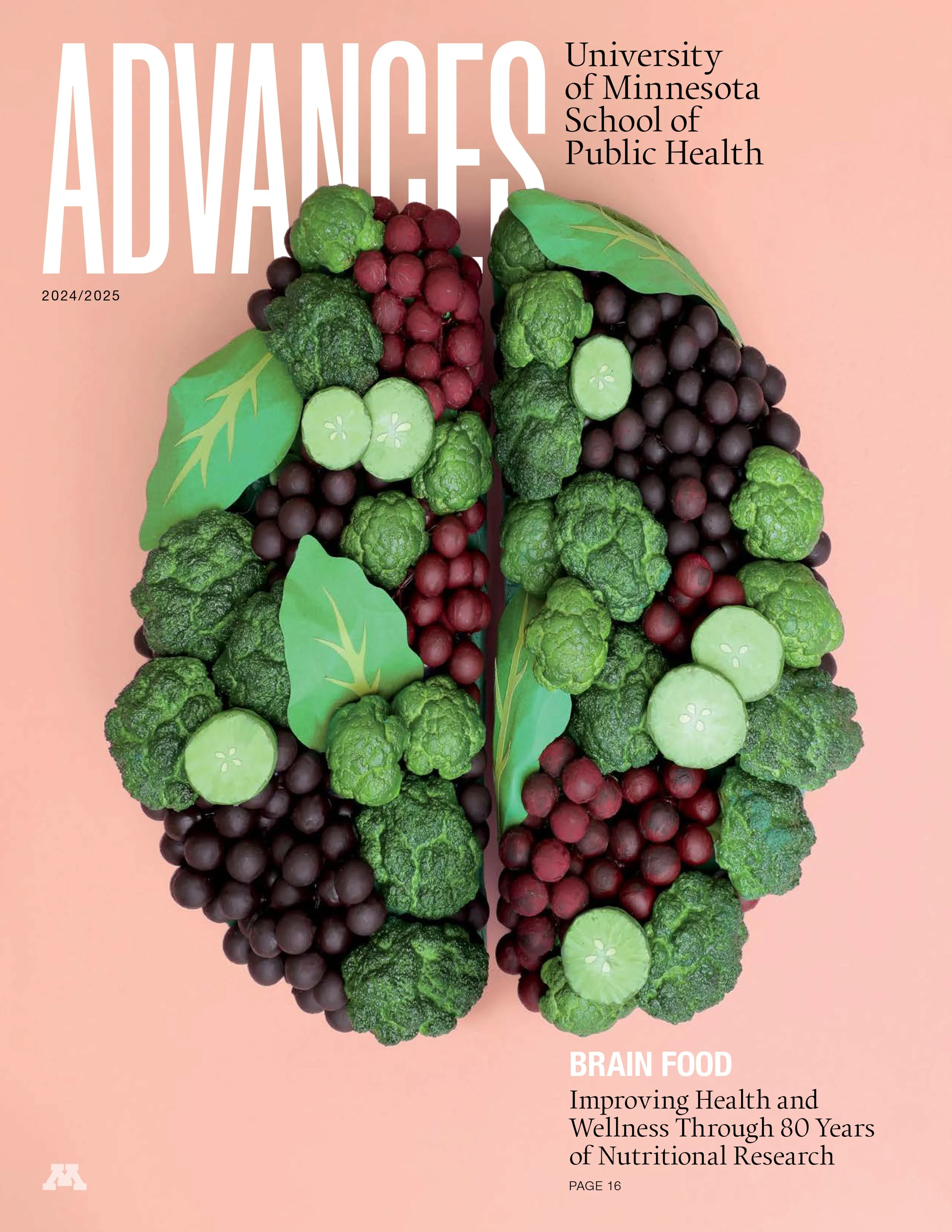 Advances_cvr_mod (1).jpg