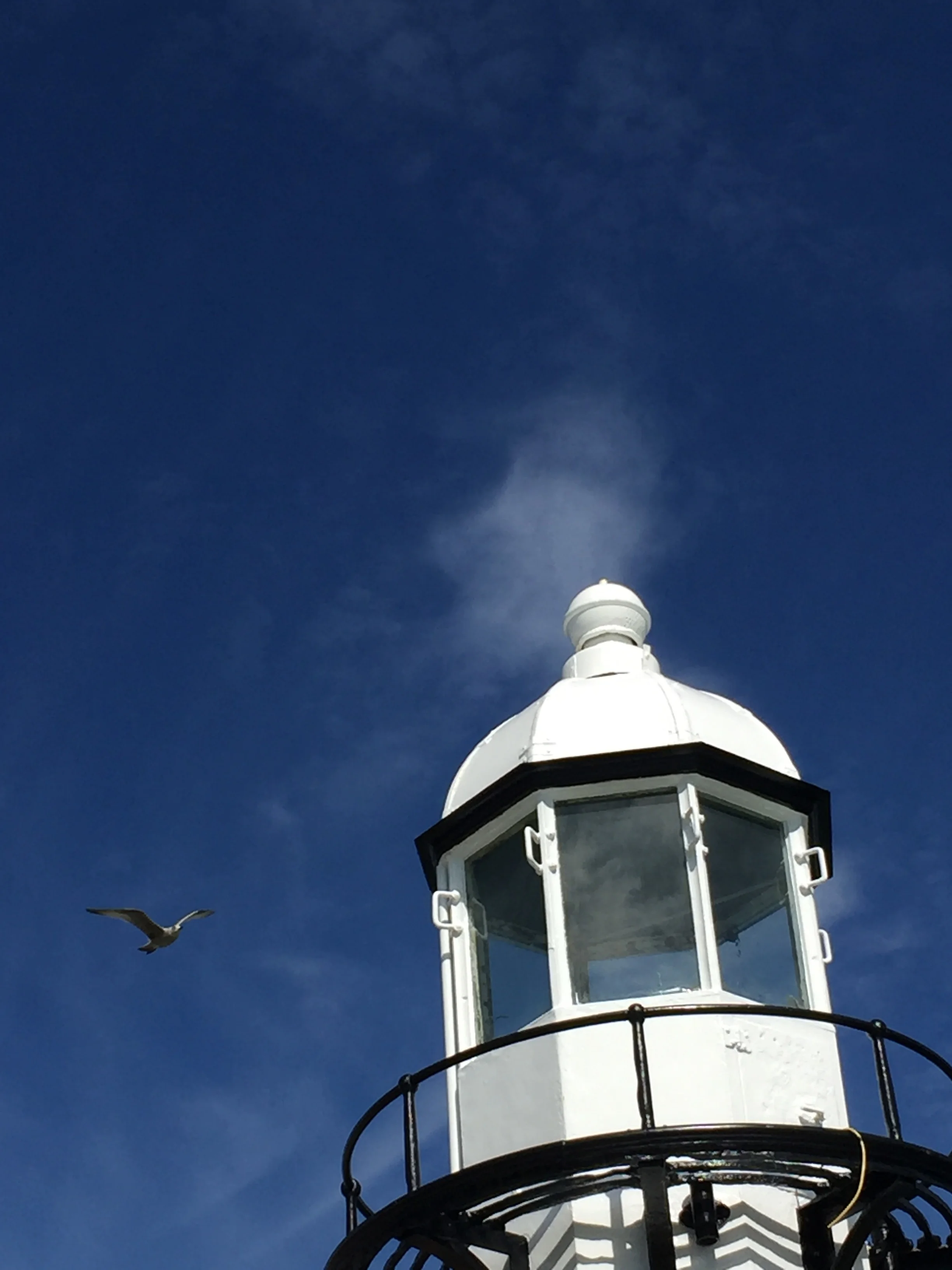 Could you be your organisation's lighthouse?