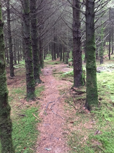 At the base of the rise to the top of the fell