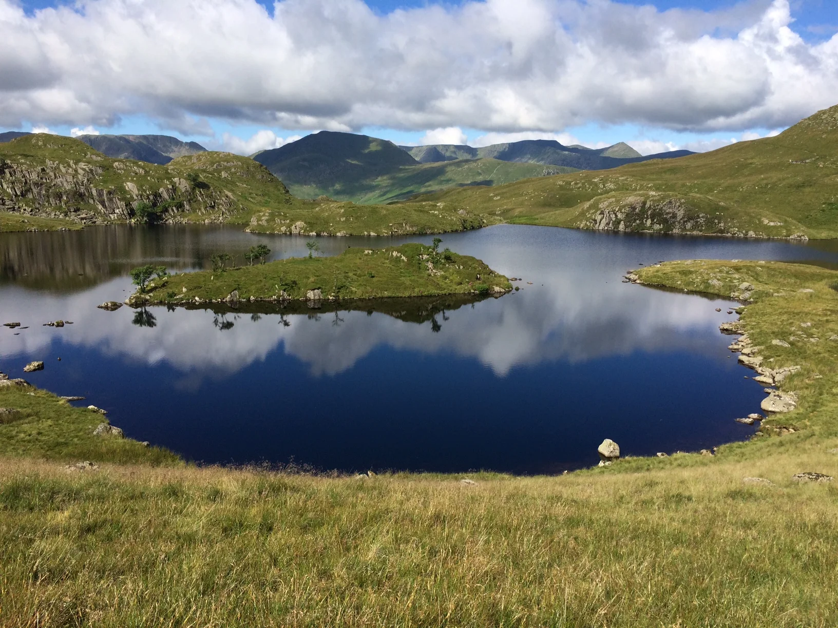 Angletarn