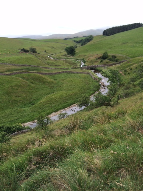 Field walking en route to Kirkby Stephen