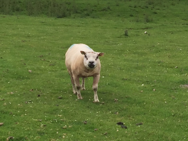 And an interesting face...